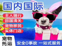 拉萨空运公司国际宠物托运 【国